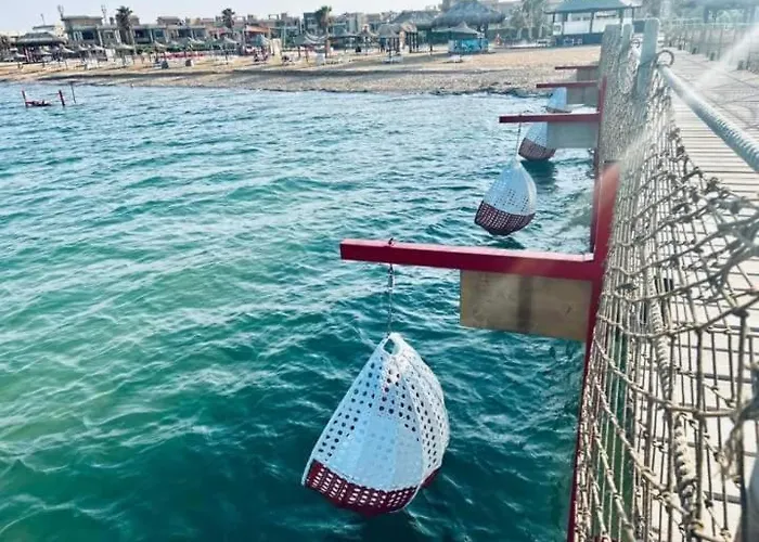 פארק נופש بالعين السخنة عائلي اقل فترة حجز 3 ليالي *